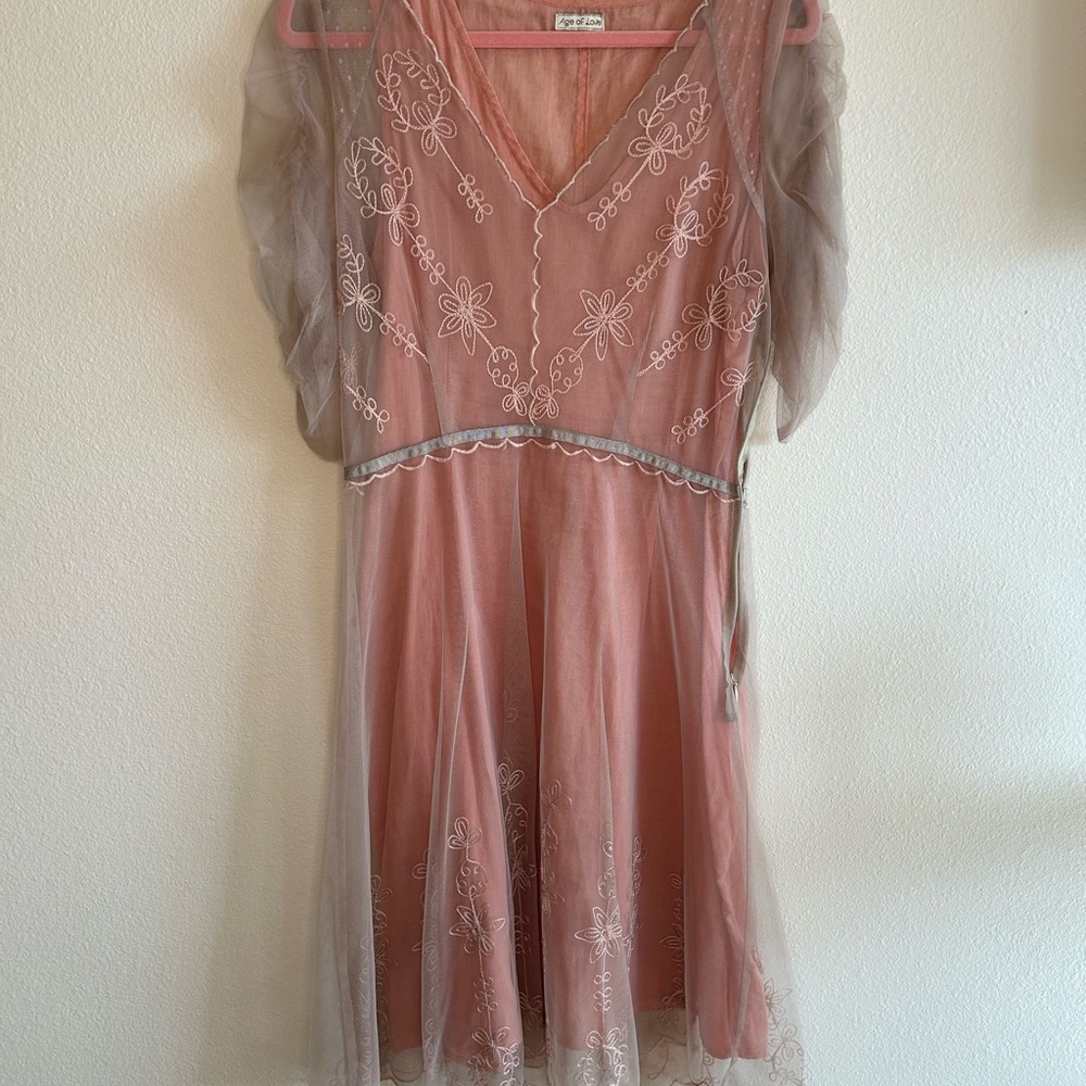 AGE OF LOVE Pink Embroidered Dress with Sheer Sleeves